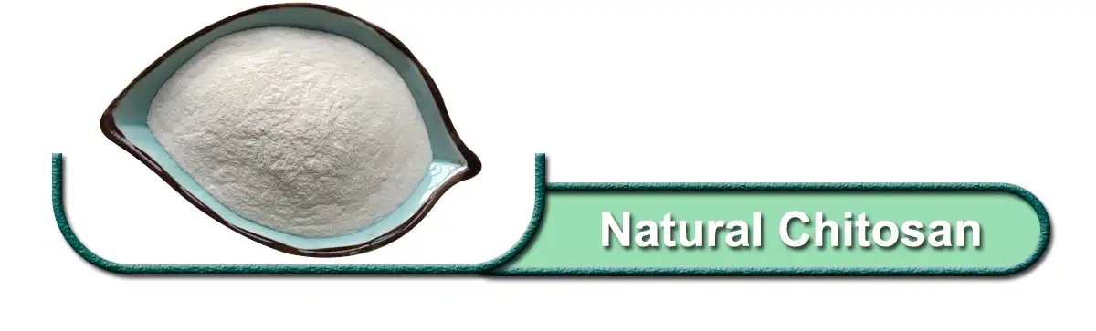 Natural Chitosan powder.jpg